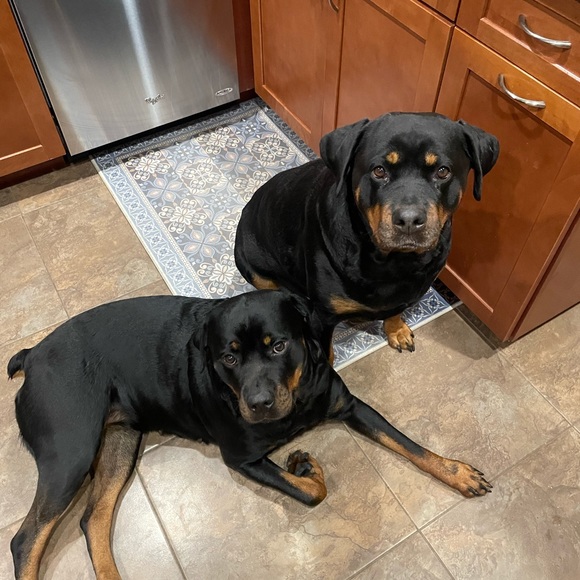 Meet your Posher, Shauna - Picture 2 of 14